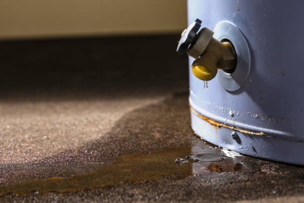 Best 24/7 water damage repair  in Auburn, IL
