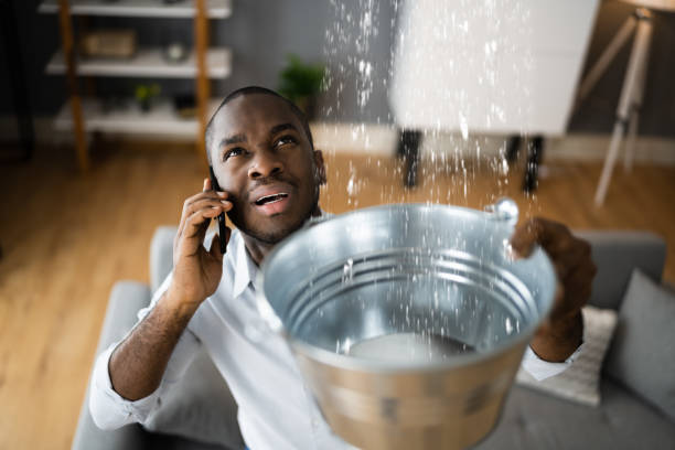 Best Water damage restoration near me  in Auburn, IL