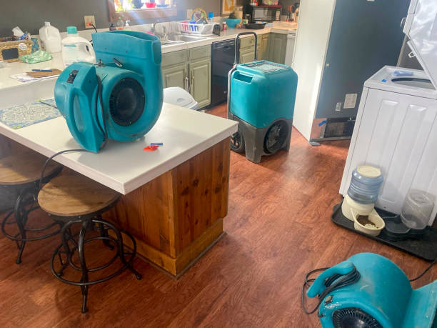 Best Flood damage cleanup  in Auburn, IL