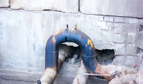 Best Water damage restoration near me  in Auburn, IL