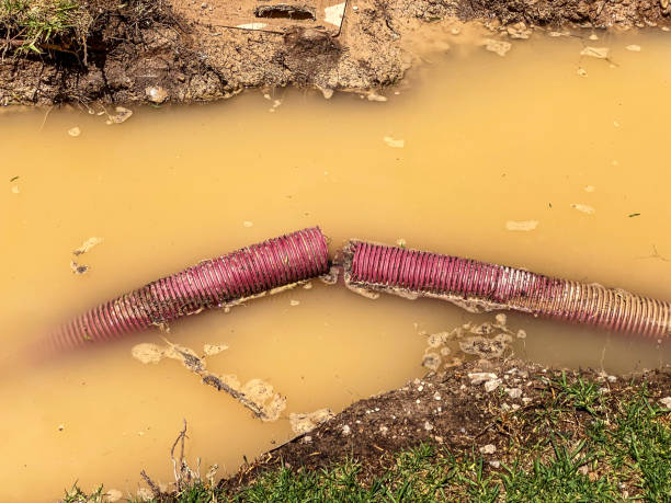 Best Local water damage restoration  in Auburn, IL